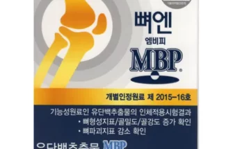 유튜브 추천 뼈엔 엠비피 MBP 6개월분 장단점 후기