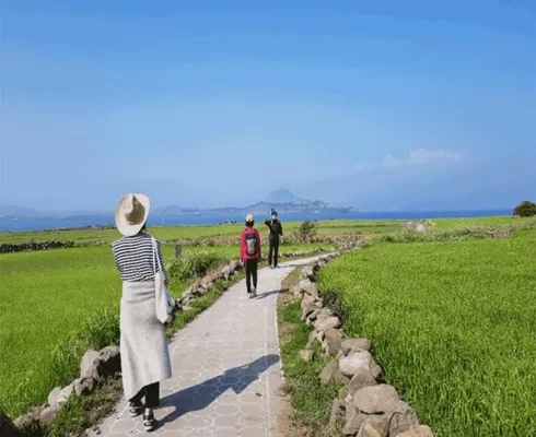 오늘의 핫딜 제주여행 3박 4일 장단점 후기