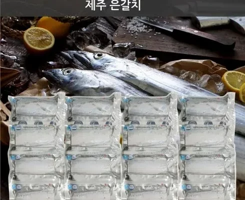 전문가 리뷰 제주은갈치 왕특대 420g4마리 분량 추천상품 가격정보